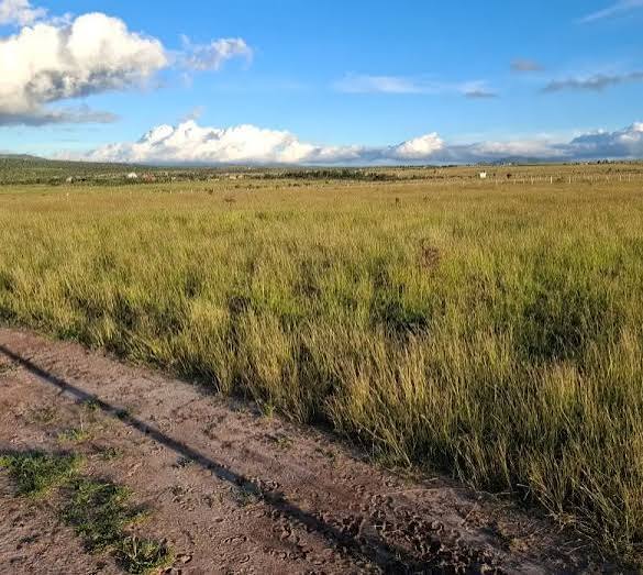 80x200 Commercial Plot in Kitengela